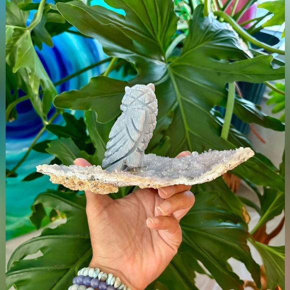 Owl carving on Amethyst flower - Picture 8 of 8